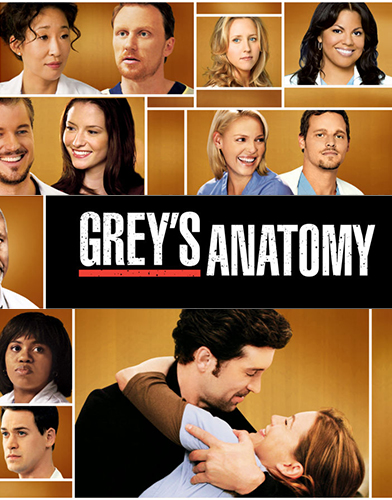greys anatomy season 5 download